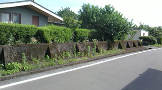 2017070116020000.jpg