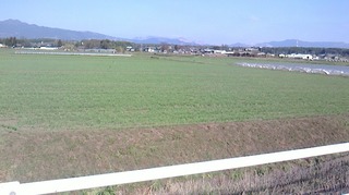 S__268894226.jpg