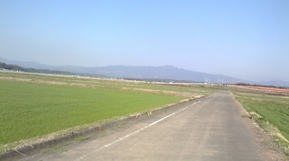 S__268894227.jpg