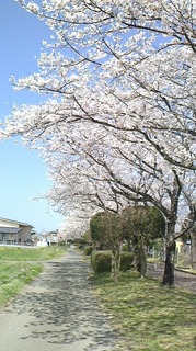 S__269090823.jpg