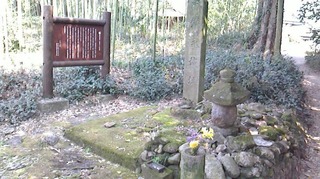 S__269393925.jpg