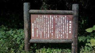 S__270991365.jpg