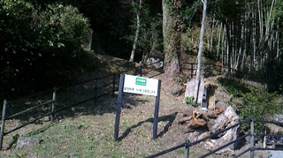 S__270991367.jpg