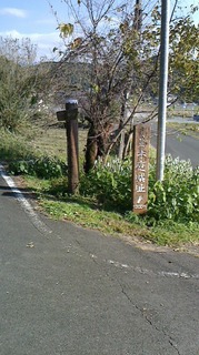 S__270991368.jpg