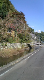 S__270991371.jpg