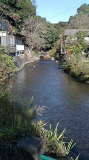 S__270991375.jpg