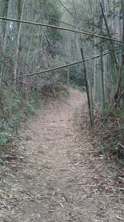 S__271630356.jpg