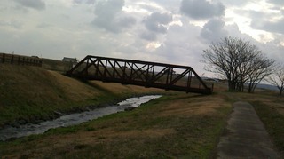 S__271630358.jpg