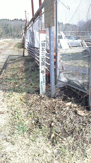 S__268722181.jpg